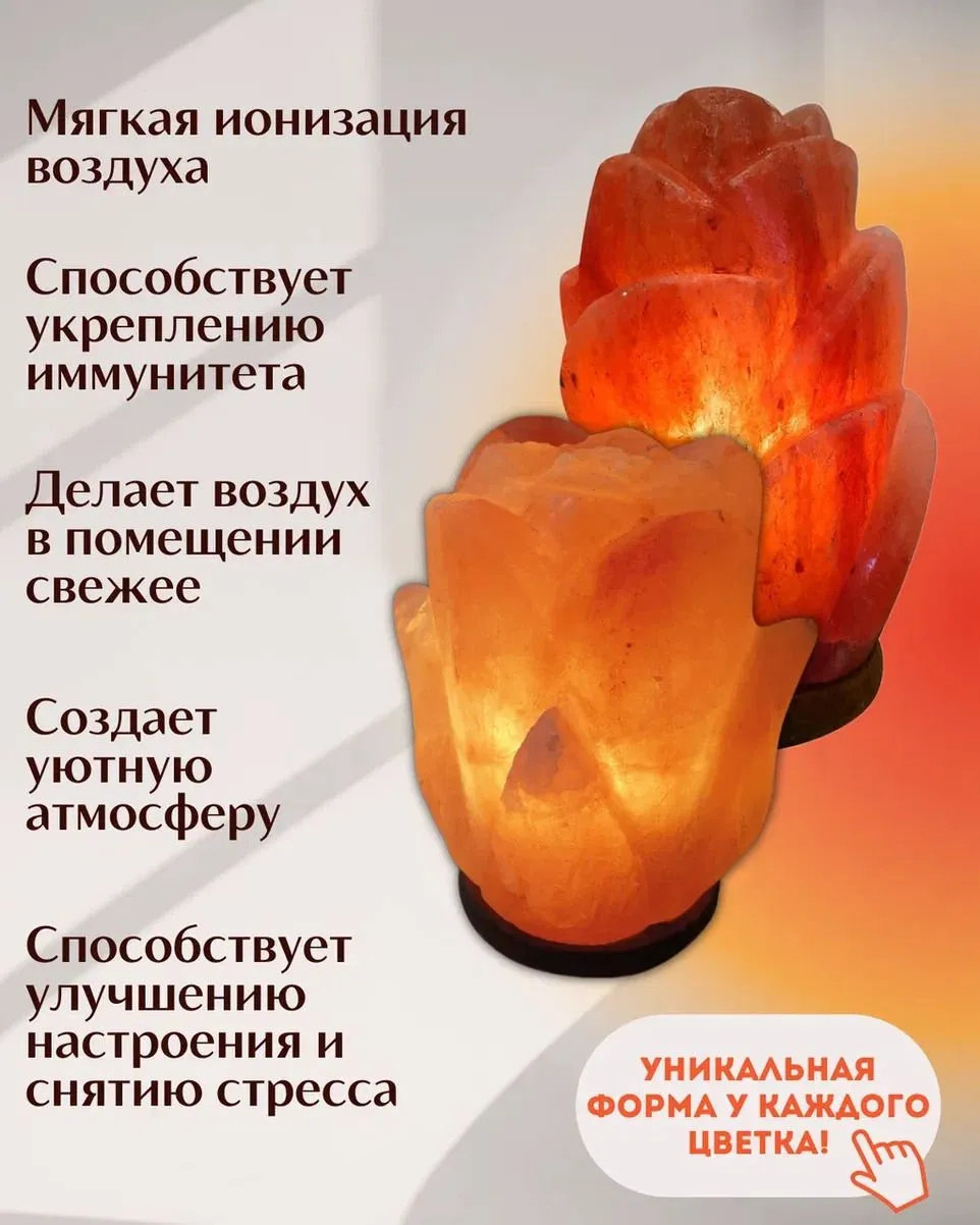 6458646184