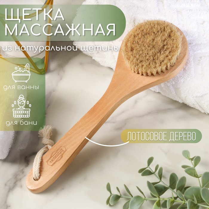 Щетка банная с ручкой нат.щетина 4505136 Россия